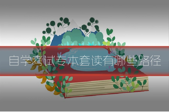 自学考试专本套读有哪些路径