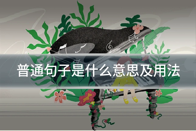 普通句子是什么意思及用法