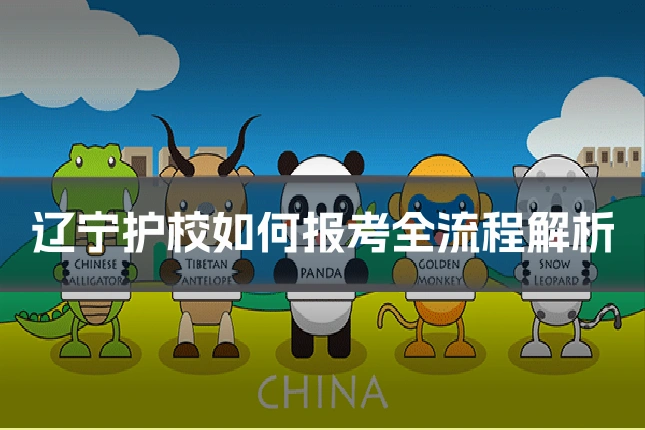 辽宁护校如何报考全流程解析