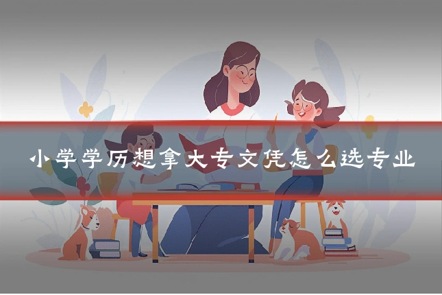 小学学历想拿大专文凭怎么选专业