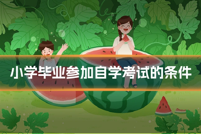 小学毕业参加自学考试的条件