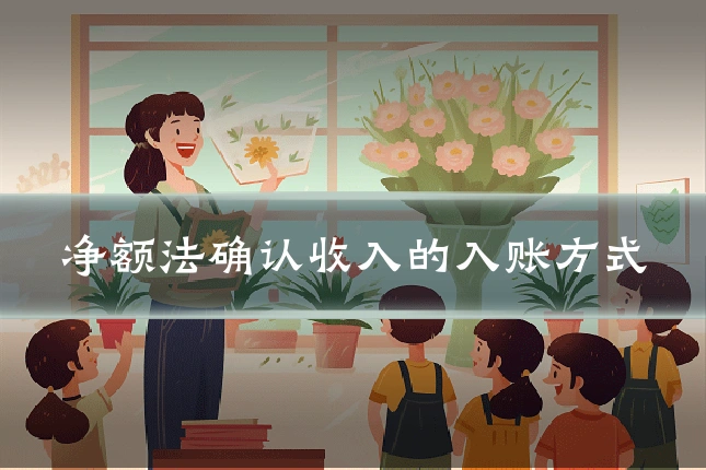 净额法确认收入的入账方式