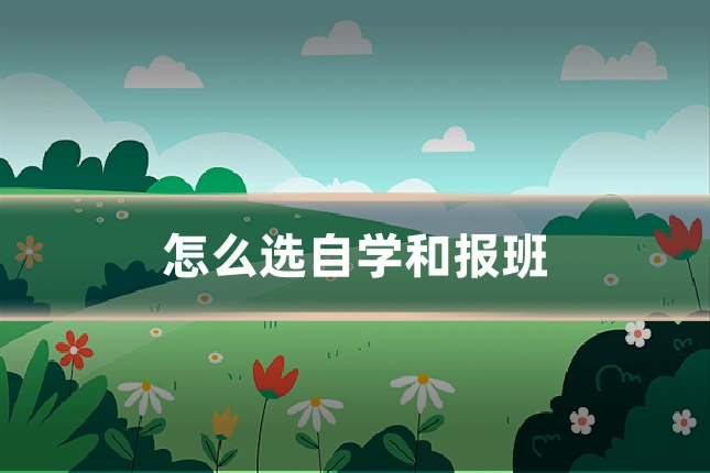 怎么选自学和报班
