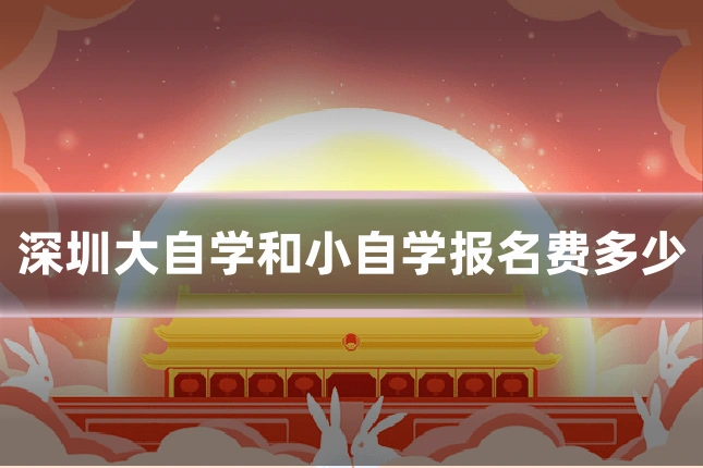 深圳大自学和小自学报名费多少