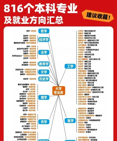大学教育