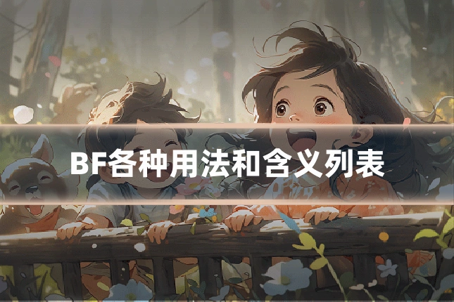 BF各种用法和含义列表