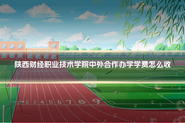 陕西财经职业技术学院中外合作办学学费怎么收