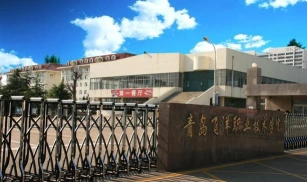 青岛飞洋职业技术学院