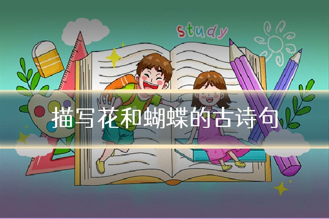 描写花和蝴蝶的古诗句