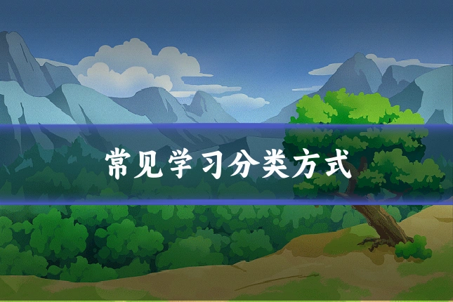 常见学习分类方式