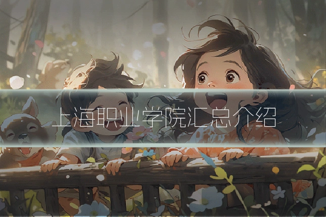 上海职业学院汇总介绍