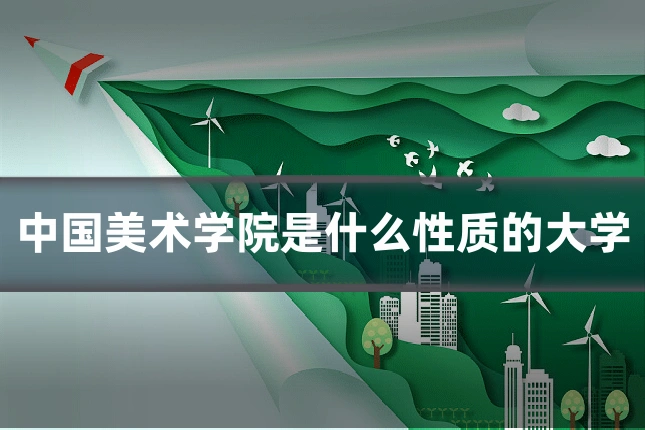中国美术学院是什么性质的大学