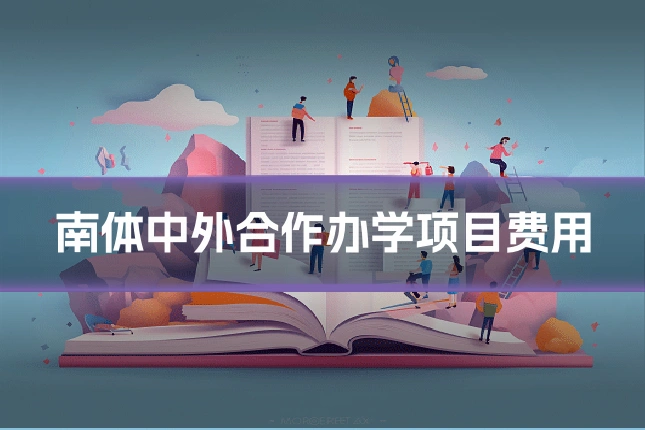 南体中外合作办学项目费用