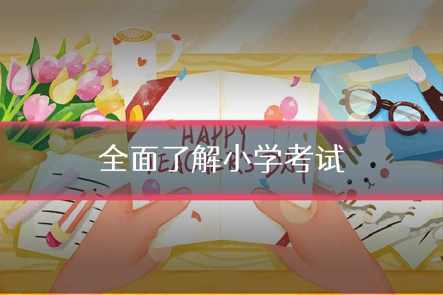 全面了解小学考试