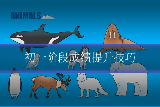 初一阶段成绩提升技巧