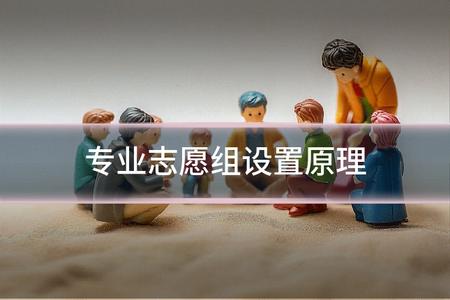 专业志愿组设置原理