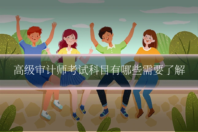 高级审计师考试科目有哪些需要了解