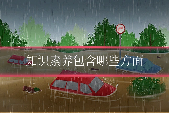 知识素养包含哪些方面