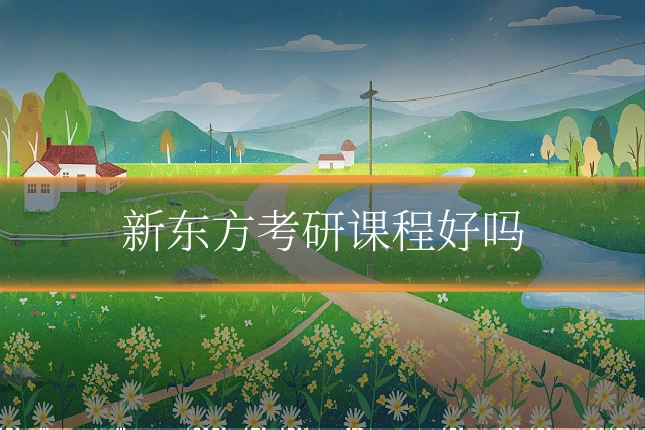 新东方考研课程好吗