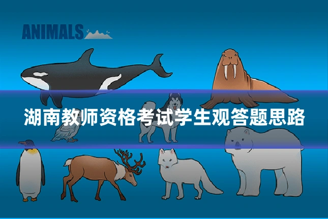湖南教师资格考试学生观答题思路