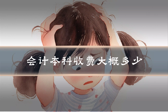 会计本科收费大概多少
