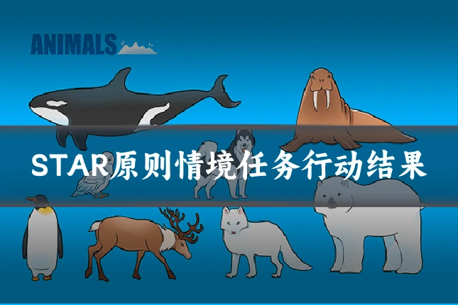 STAR原则情境任务行动结果