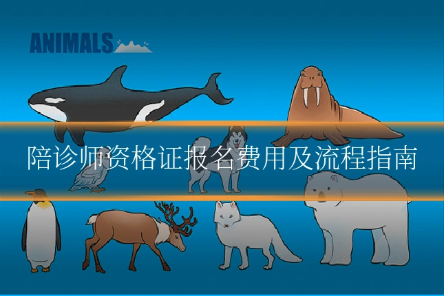 陪诊师资格证报名费用及流程指南