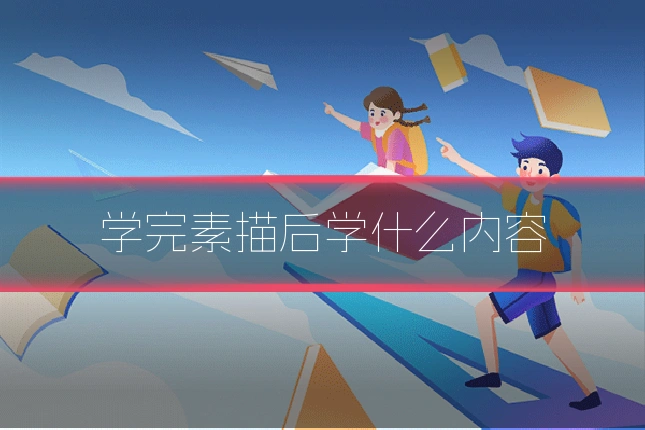 学完素描后学什么内容