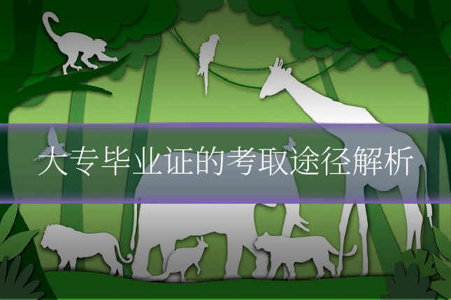 大专毕业证的考取途径解析