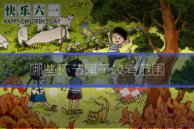 哪些环节属于校考范围