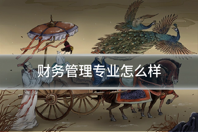 财务管理专业怎么样