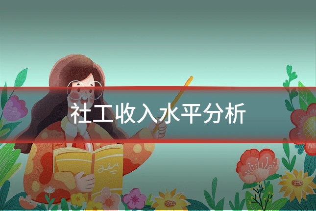 社工收入水平分析