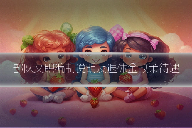 部队文职编制说明及退休金政策待遇