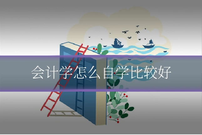 会计学怎么自学比较好