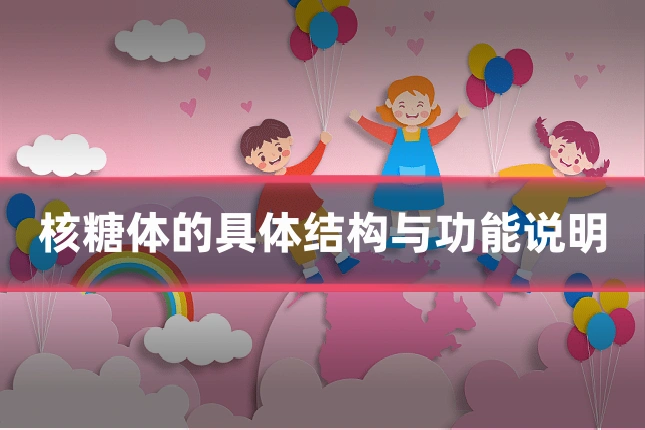 核糖体的具体结构与功能说明