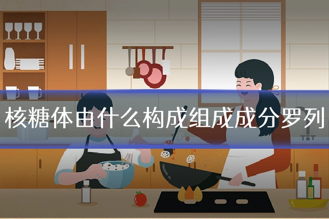 核糖体由什么构成组成成分罗列