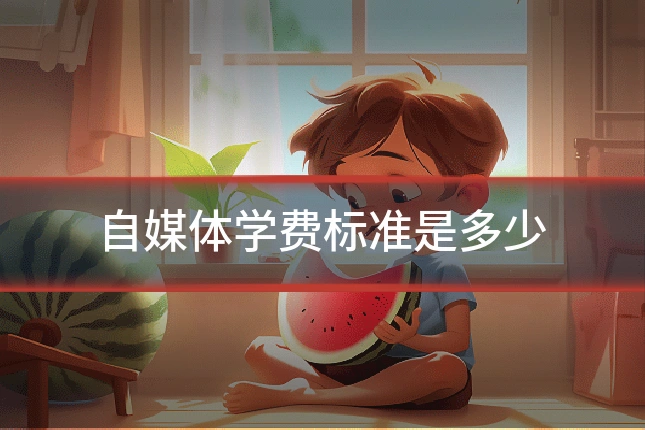自媒体学费标准是多少