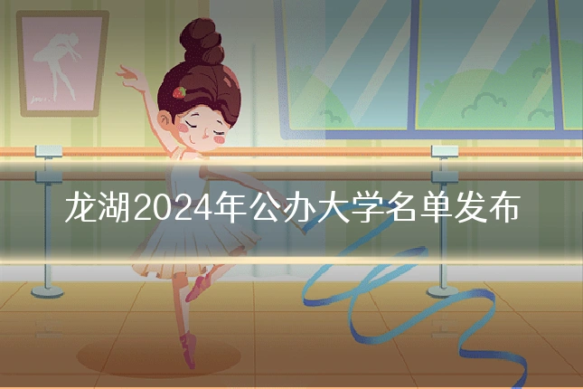 龙湖2024年公办大学名单发布