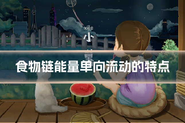 食物链能量单向流动的特点