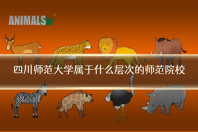 四川师范大学属于什么层次的师范院校