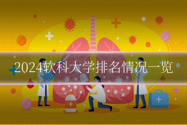 2024软科大学排名情况一览