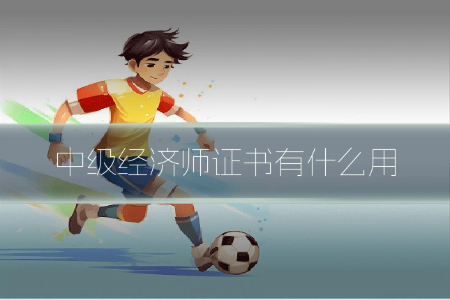 中级经济师证书有什么用