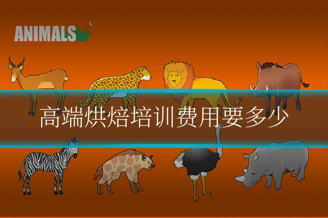 高端烘焙培训费用要多少