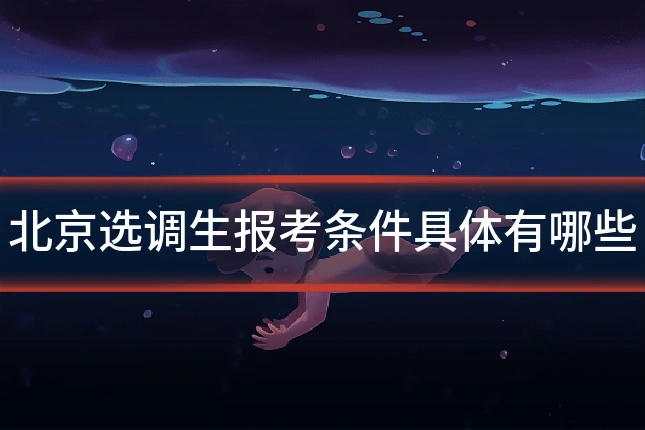 北京选调生报考条件具体有哪些