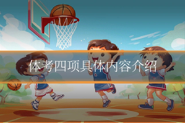 体考四项具体内容介绍