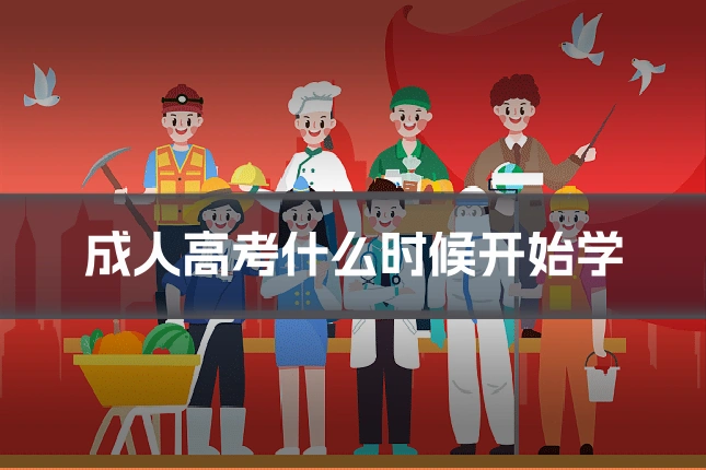 成人高考什么时候开始学