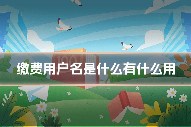 缴费用户名是什么有什么用