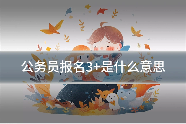 公务员报名3+是什么意思