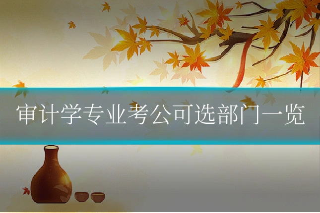 审计学专业考公可选部门一览