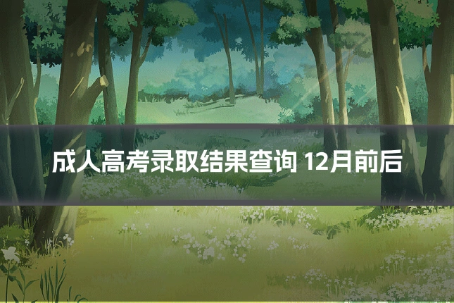 成人高考录取结果查询 12月前后